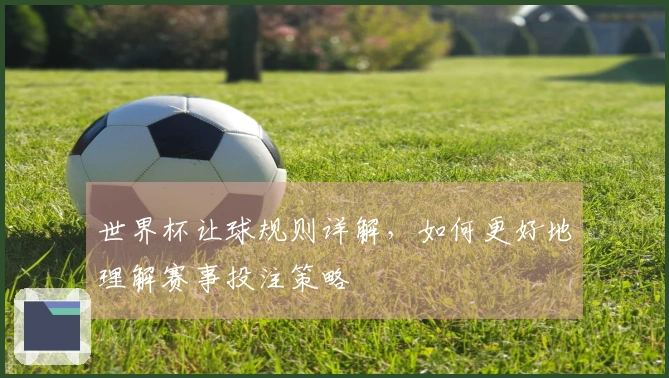 世界杯让球规则详解，如何更好地理解赛事投注策略