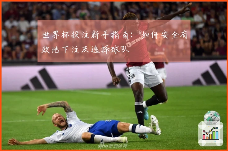 世界杯投注新手指南：如何安全有效地下注及选择球队