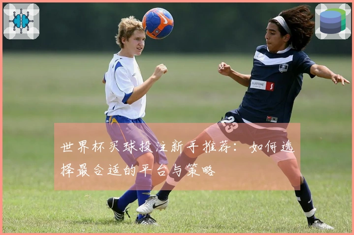 世界杯买球投注新手推荐：如何选择最合适的平台与策略