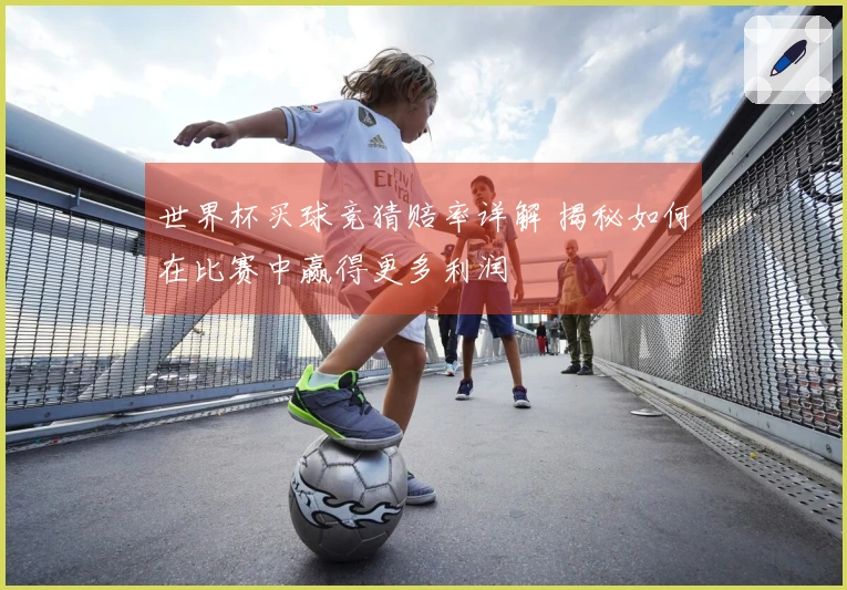 世界杯买球竞猜赔率详解 揭秘如何在比赛中赢得更多利润