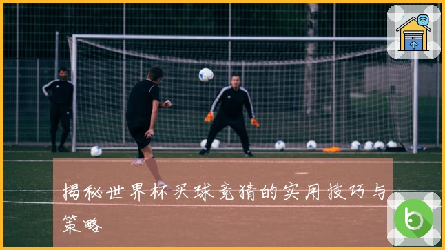揭秘世界杯买球竞猜的实用技巧与策略