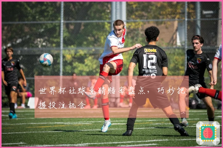 世界杯让球竞猜赔率盘点，巧妙把握投注机会