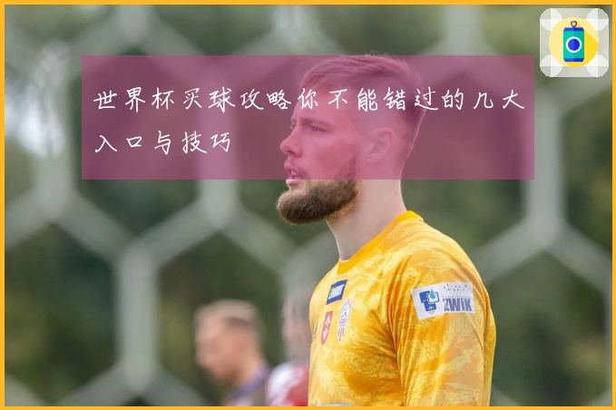 世界杯买球攻略你不能错过的几大入口与技巧