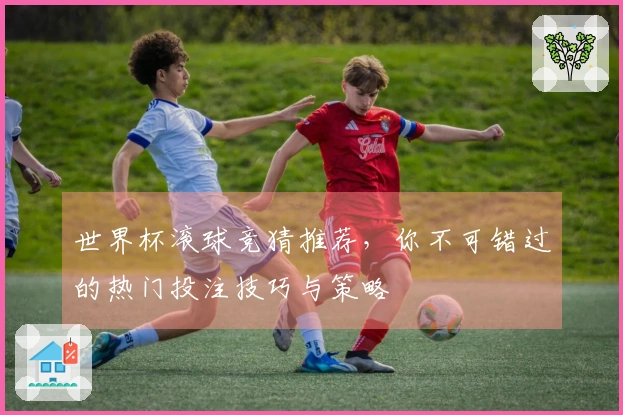 世界杯滚球竞猜推荐，你不可错过的热门投注技巧与策略