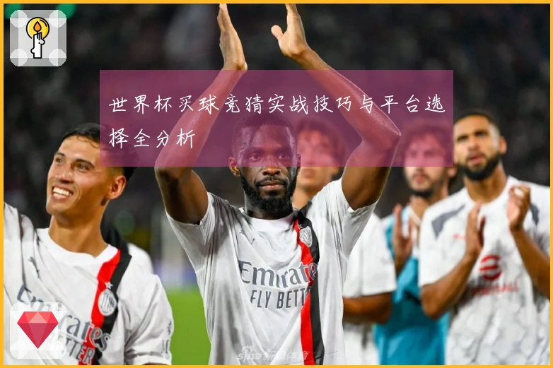 世界杯买球竞猜实战技巧与平台选择全分析
