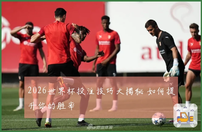 2026世界杯投注技巧大揭秘 如何提升你的胜率
