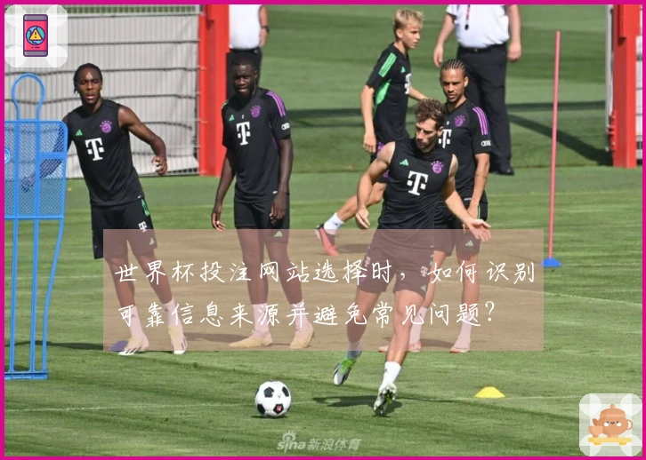 世界杯投注网站选择时，如何识别可靠信息来源并避免常见问题？