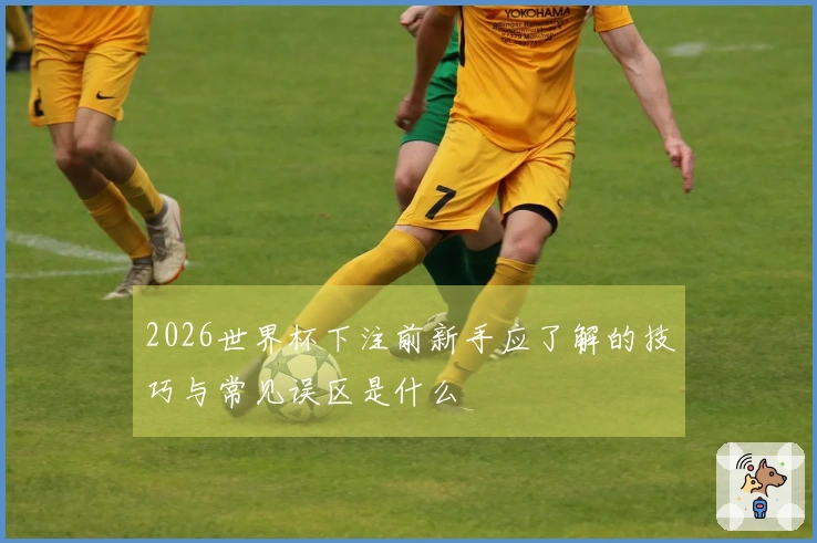 2026世界杯下注前新手应了解的技巧与常见误区是什么