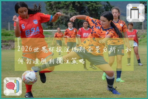 2026世界杯投注规则全景分析，如何打造胜利投注策略