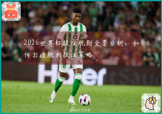 2026世界杯投注规则全景分析，如何打造胜利投注策略