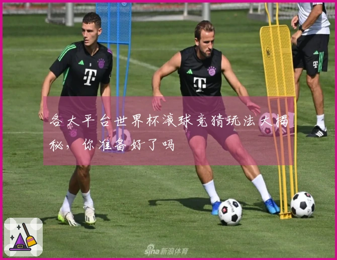 各大平台世界杯滚球竞猜玩法大揭秘，你准备好了吗