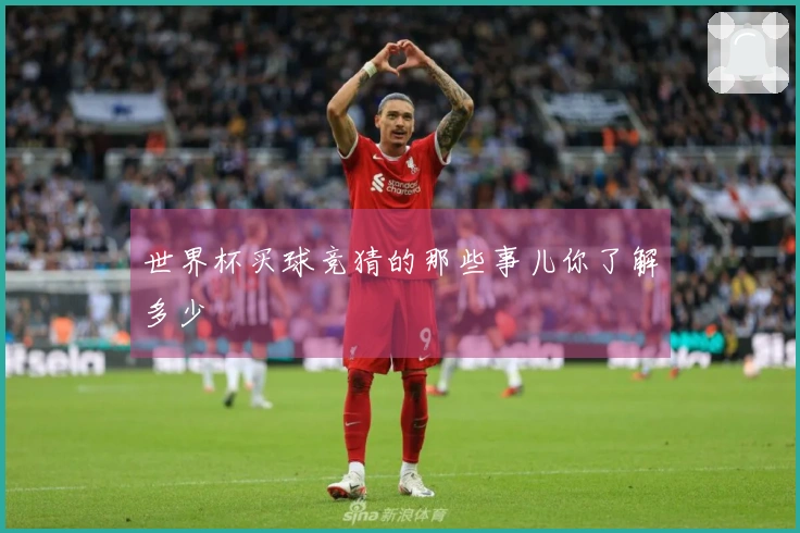 世界杯买球竞猜的那些事儿你了解多少