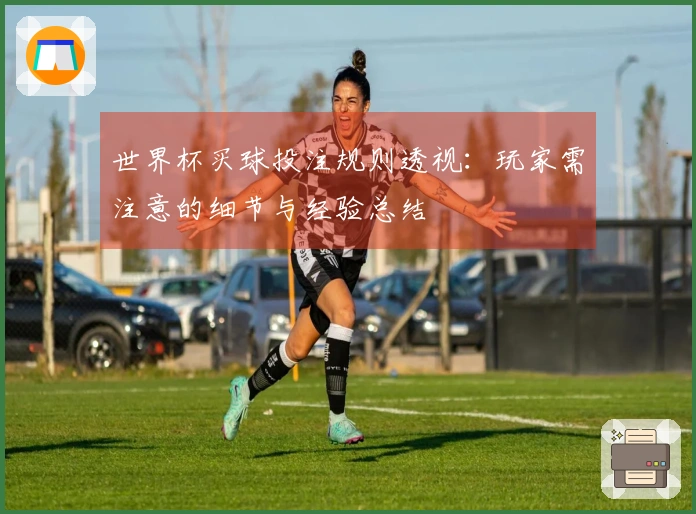 世界杯买球投注规则透视：玩家需注意的细节与经验总结