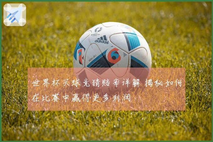 世界杯买球竞猜赔率详解 揭秘如何在比赛中赢得更多利润