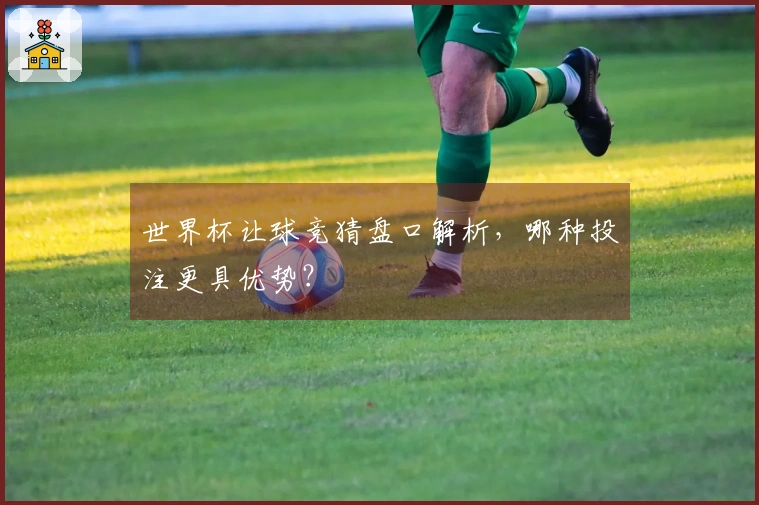 世界杯让球竞猜盘口解析，哪种投注更具优势？