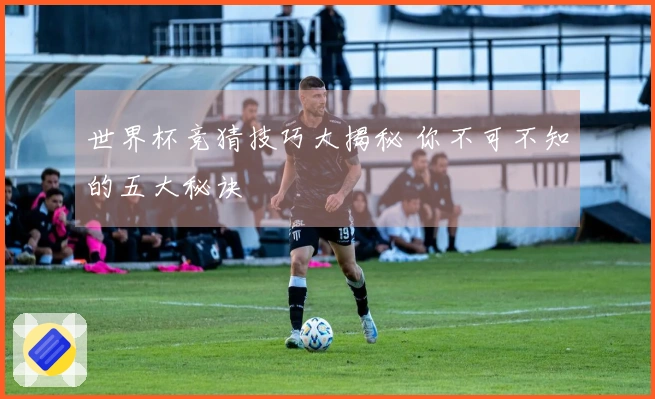 世界杯竞猜技巧大揭秘 你不可不知的五大秘诀