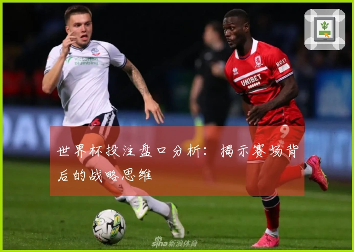 世界杯投注盘口分析：揭示赛场背后的战略思维