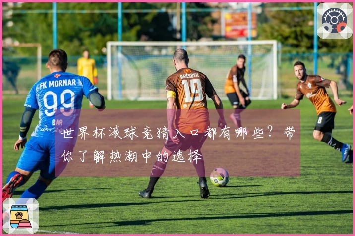 世界杯滚球竞猜入口都有哪些？带你了解热潮中的选择